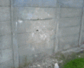 /album/fotogaleria/mi-pataa-gif/